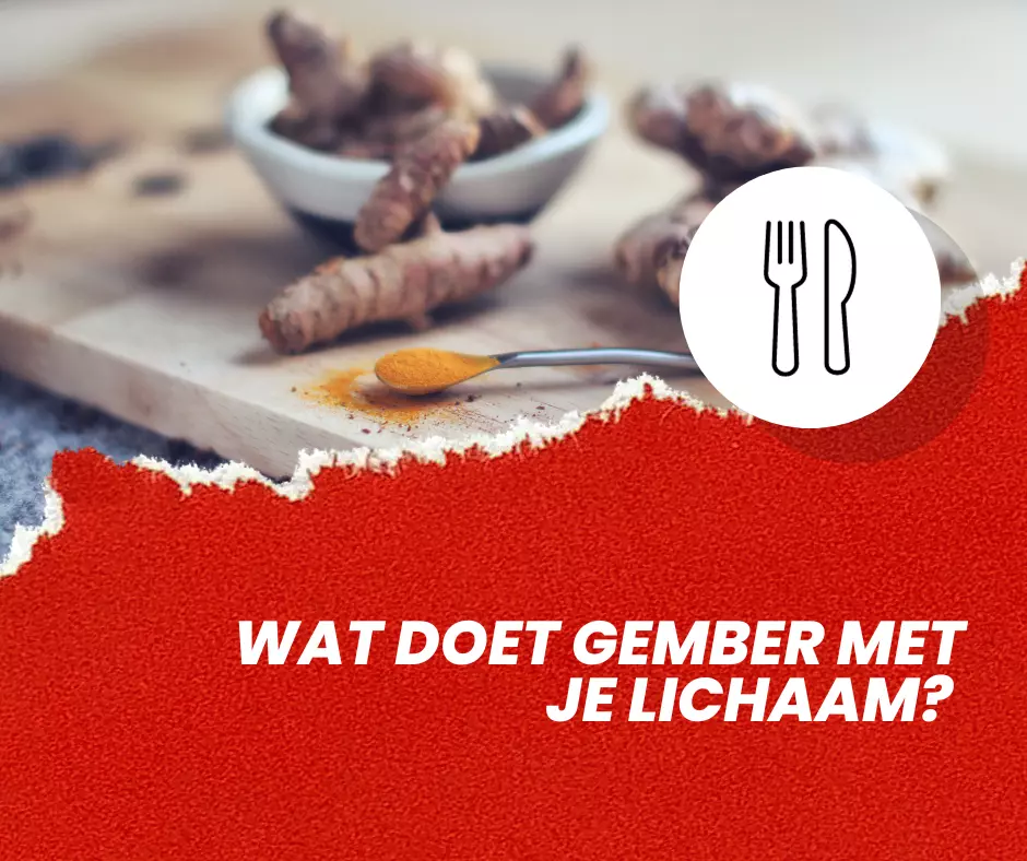 Wat doet gember met je lichaam Dit zegt de wetenschap
