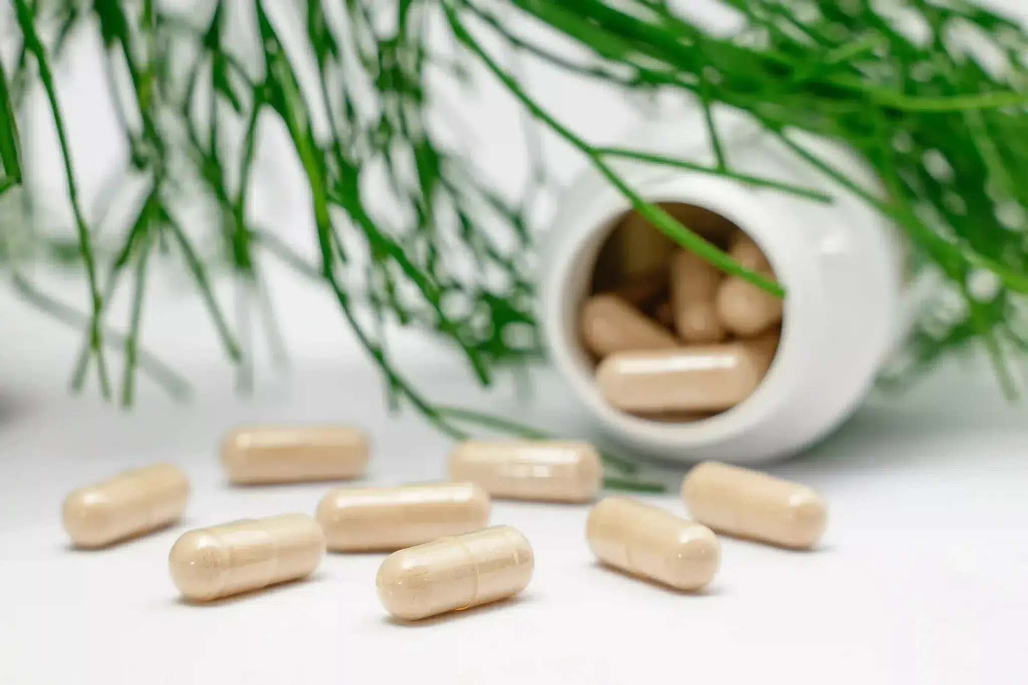 L-arginine nadelen