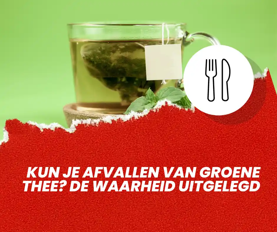 Kun Je Afvallen Met Groene Thee De Waarheid T G